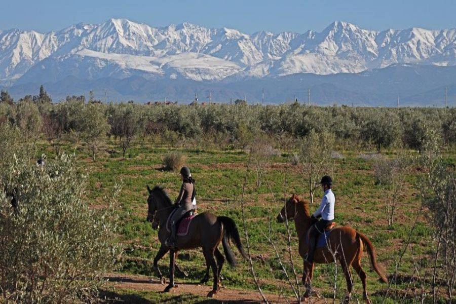Paseo a caballo en Marrakech Palmeraie