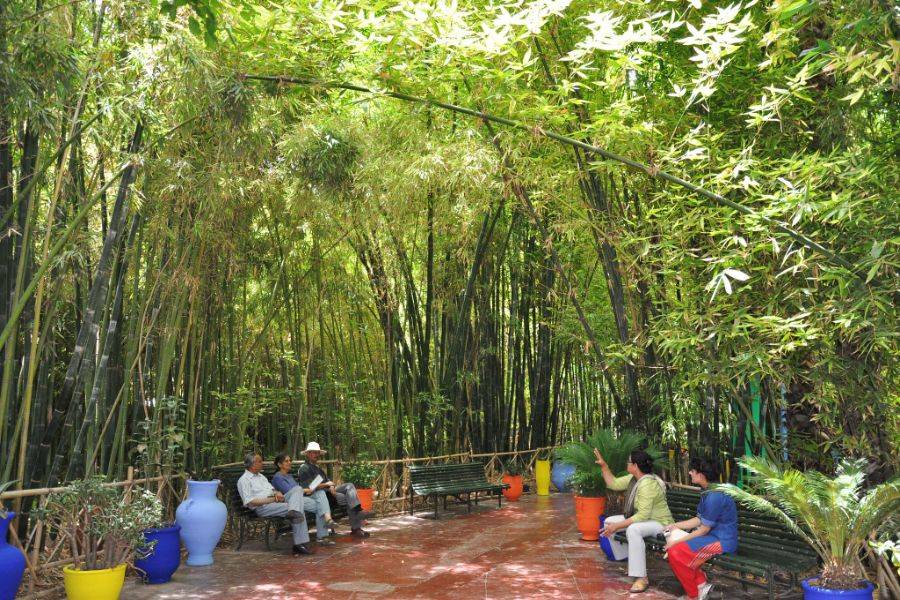 Visita del jardín Majorelle con paseo en camello por la Palmeraie de Marrakech