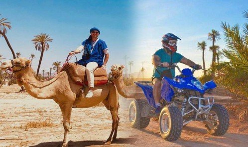 Paseo en camello y quads en Marrakech Palmeraie
