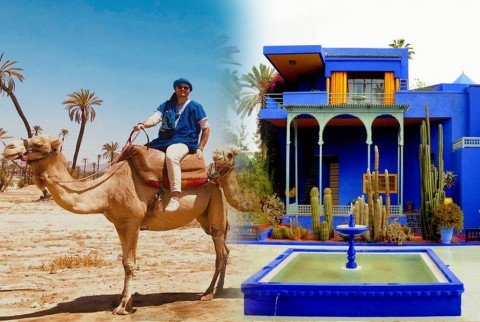 Visita del jardín Majorelle con paseo en camello por la Palmeraie de Marrakech