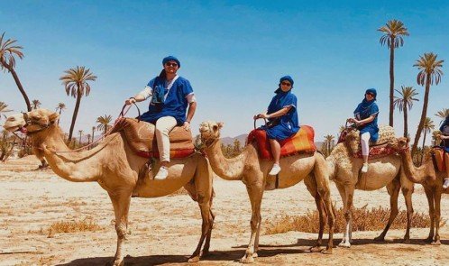 Paseo en camello en la Palmeraie de Marrakech