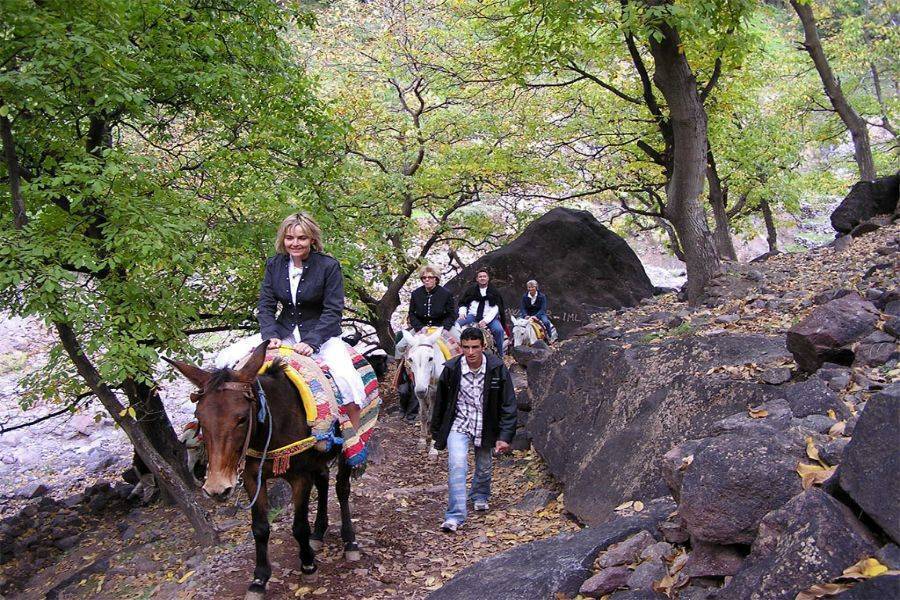 Montaña del Alto Atlas Imlil con paseo en camello y cena en el desierto de Agafay