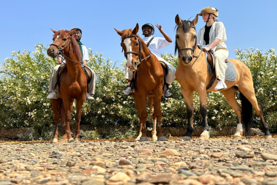 Paseo a caballo en Marrakech Palmeraie