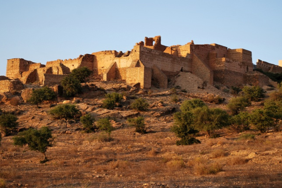 Excursión de un día de Marrakech a Taroudante: Descubra la joya escondida de Marruecos