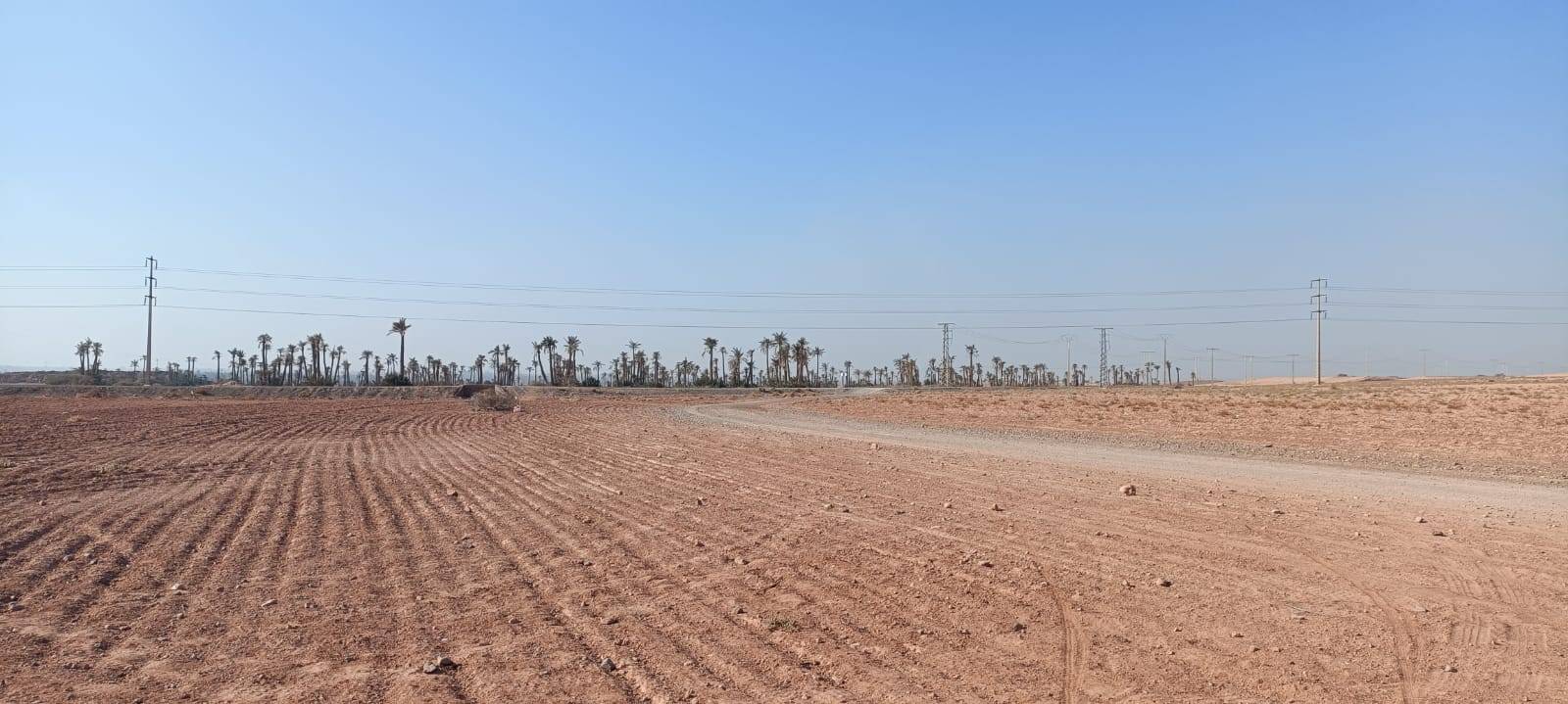 Tours en bicicleta en Palmeraie Marrakech medio día