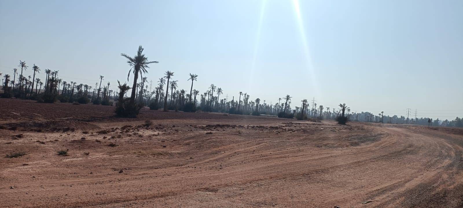 Tours en bicicleta en Palmeraie Marrakech medio día