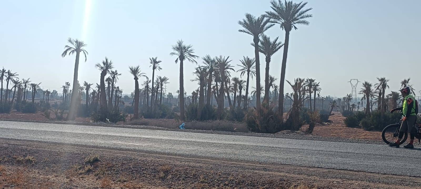 Tours en bicicleta en Palmeraie Marrakech medio día