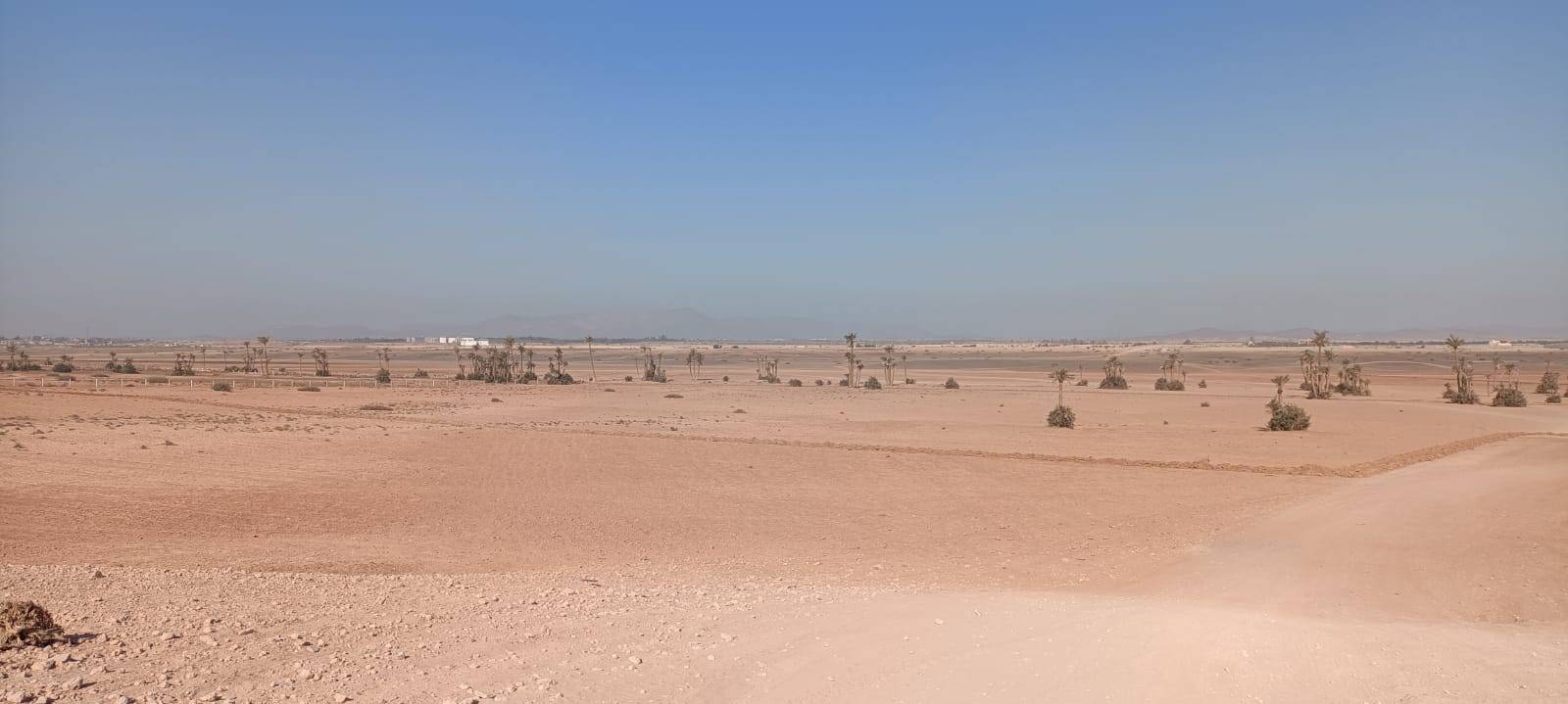 Tours en bicicleta en Palmeraie Marrakech medio día