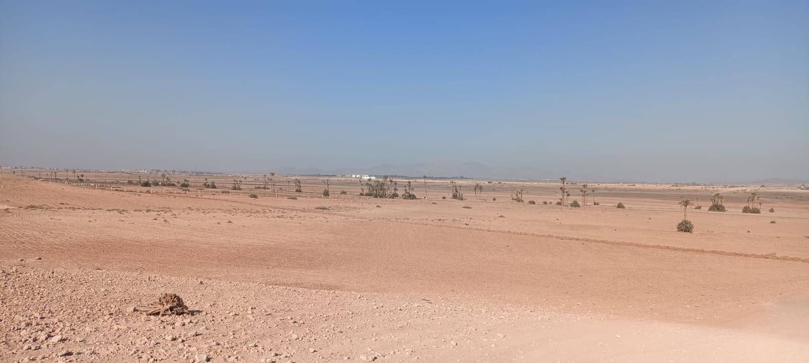 Tours en bicicleta en Palmeraie Marrakech medio día
