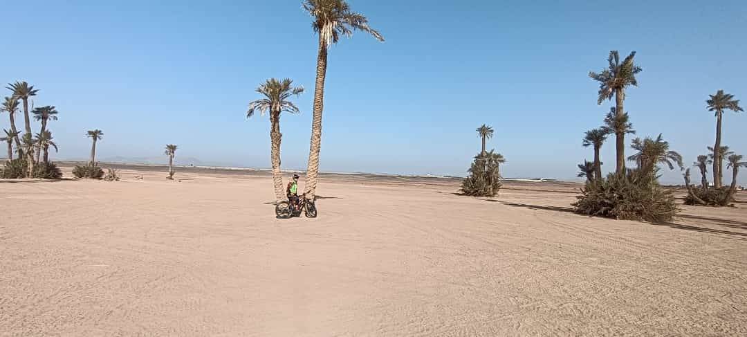 Tours en bicicleta en Palmeraie Marrakech medio día