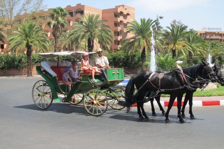 Tour de 2 días en Marrakech con media pensión y Spa desde Casablanca  