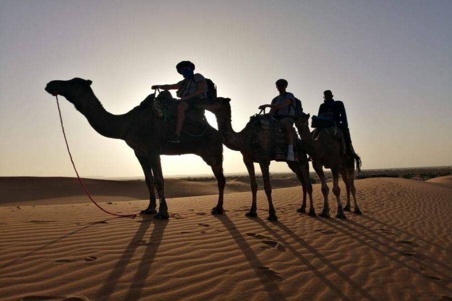 Fez 4 días de excursión por el desierto a Marrakech