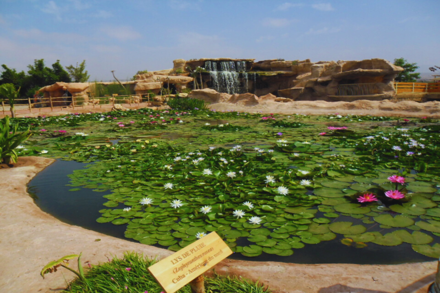 Excursión de un día a Agadir desde Marrakech
