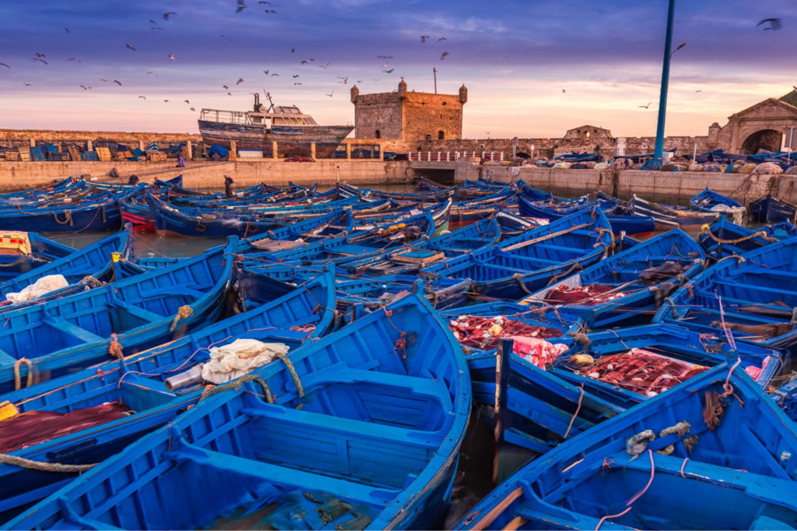 Excursión a de un día a Essaouira 