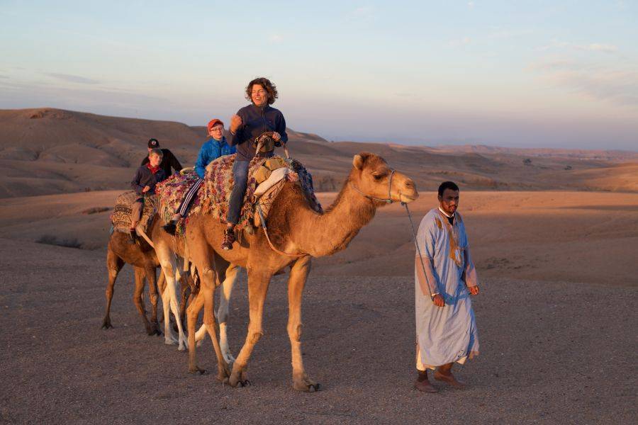 Experiencia de paseo en camello al atardecer en el desierto rocoso de Agafay