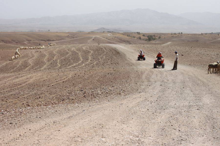Quad en el desierto rocoso de Agafay desde Marrakech 