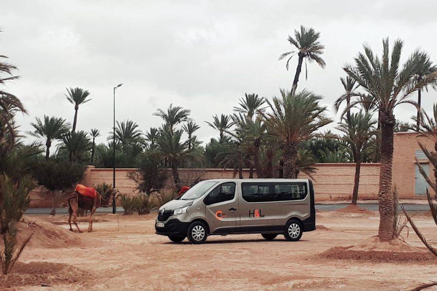 Paseo en camello y quads en Marrakech Palmeraie