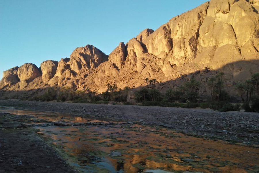 Ouarzazate, Kasbah Ait ben haddou y Oasis Fint Tour de 2 días