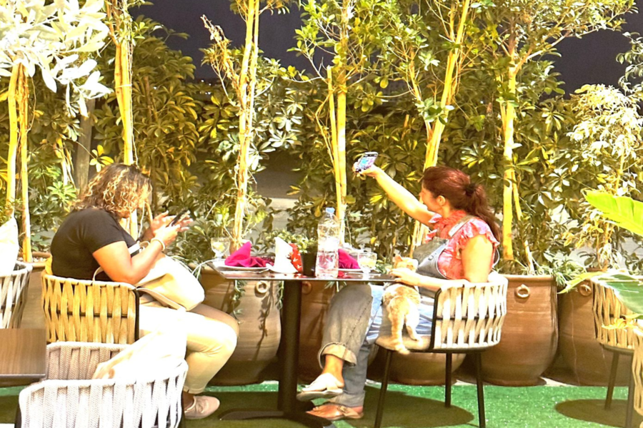 Paseo a camello al atardecer en el desierto de Agafay y cena en Chouf L'Or en Marrakech