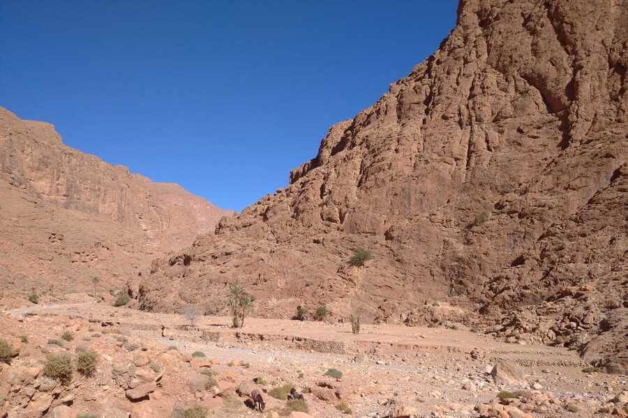 Tour privado por el desierto de Merzouga 3 días
