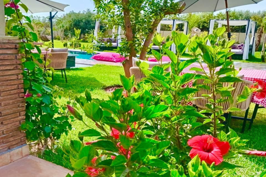 Pase de un día a Marrakech con piscina, almuerzo y transporte incluidos - Relájese