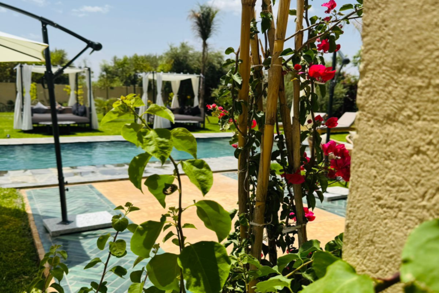 Pase de un día a Marrakech con piscina, almuerzo y transporte incluidos - Relájese