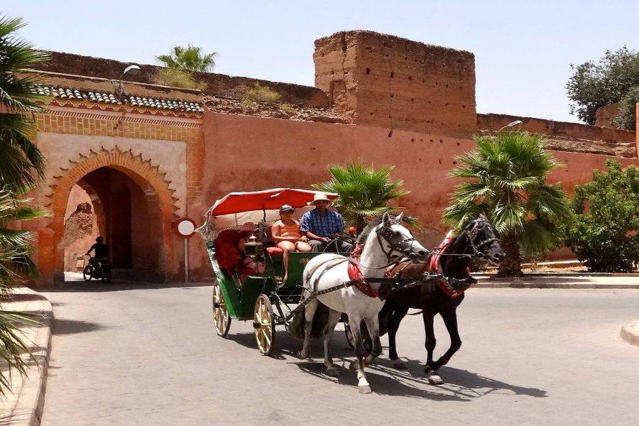 Hermoso paseo a caballo en Marrakech