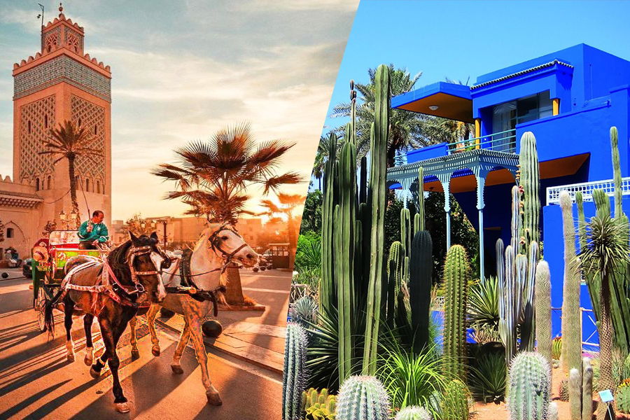 Un hermoso recorrido con carruaje de caballos y visita del jardín Majorelle