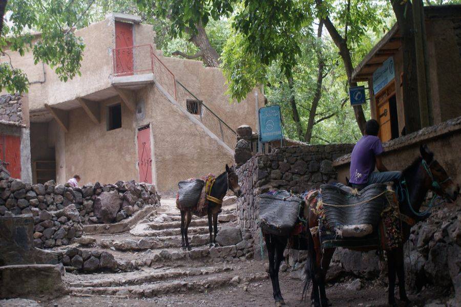 Excursión Kik Plateau, Takerkoust e Imlil desde Marrakech