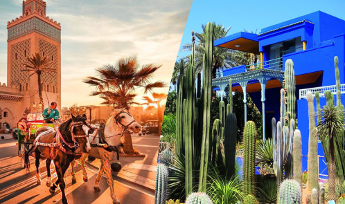 Un hermoso recorrido con carruaje de caballos y visita del jardín Majorelle