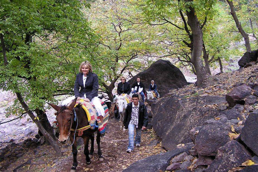 Excursión Kik Plateau, Takerkoust e Imlil desde Marrakech
