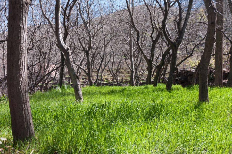 Excursión Kik Plateau, Takerkoust e Imlil desde Marrakech