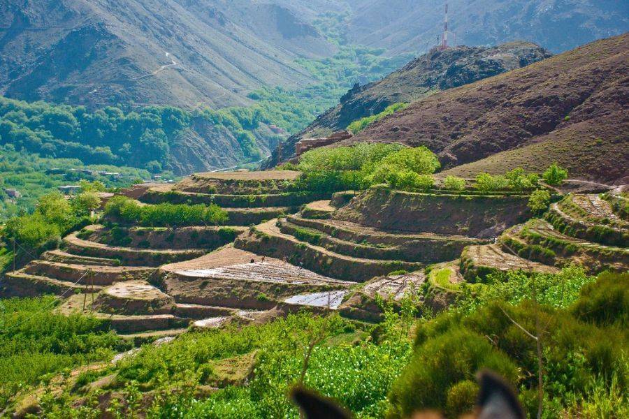 Excursión Kik Plateau, Takerkoust e Imlil desde Marrakech