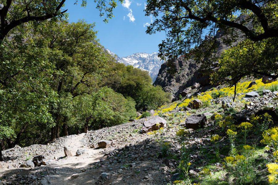 Excursión Kik Plateau, Takerkoust e Imlil desde Marrakech
