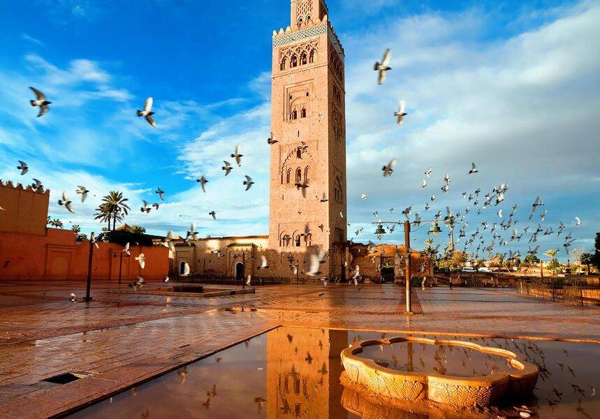 Recorrido por los jardines históricos y las murallas de Marrakech