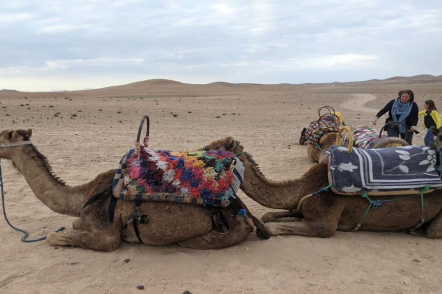 Agafay Night Desert Tour por 2 días