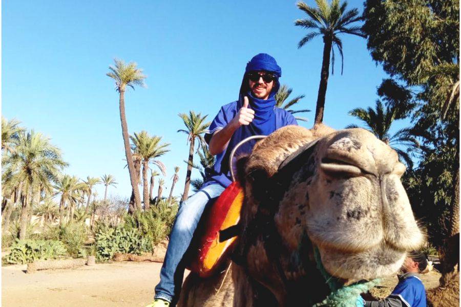 Paseo en camello y quads en Marrakech Palmeraie