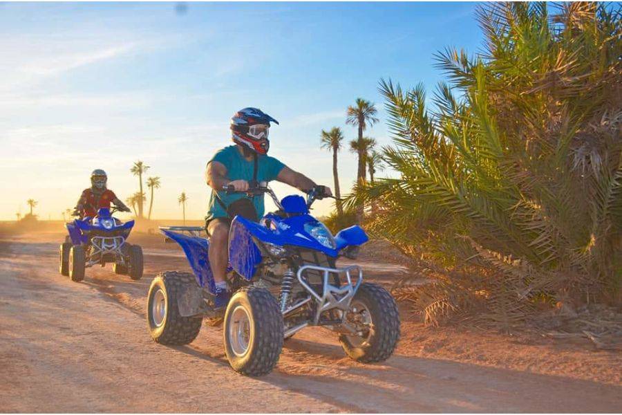 Paseo en camello y quads en Marrakech Palmeraie