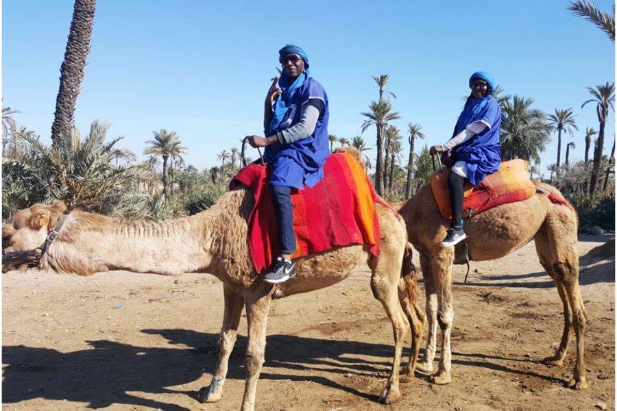 Paseo en camello y quads en Marrakech Palmeraie