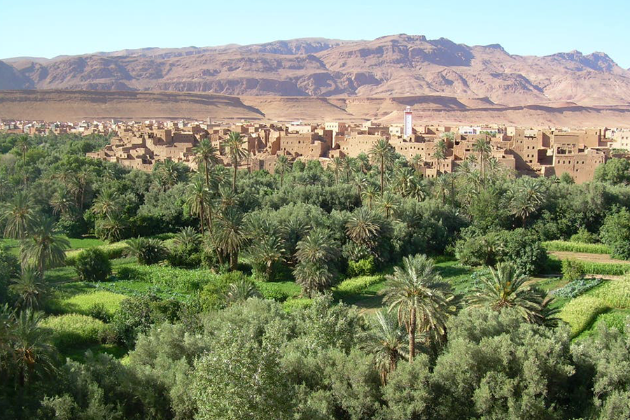 Ouarzazate, Kasbah Ait ben haddou y Oasis Fint Tour de 2 días