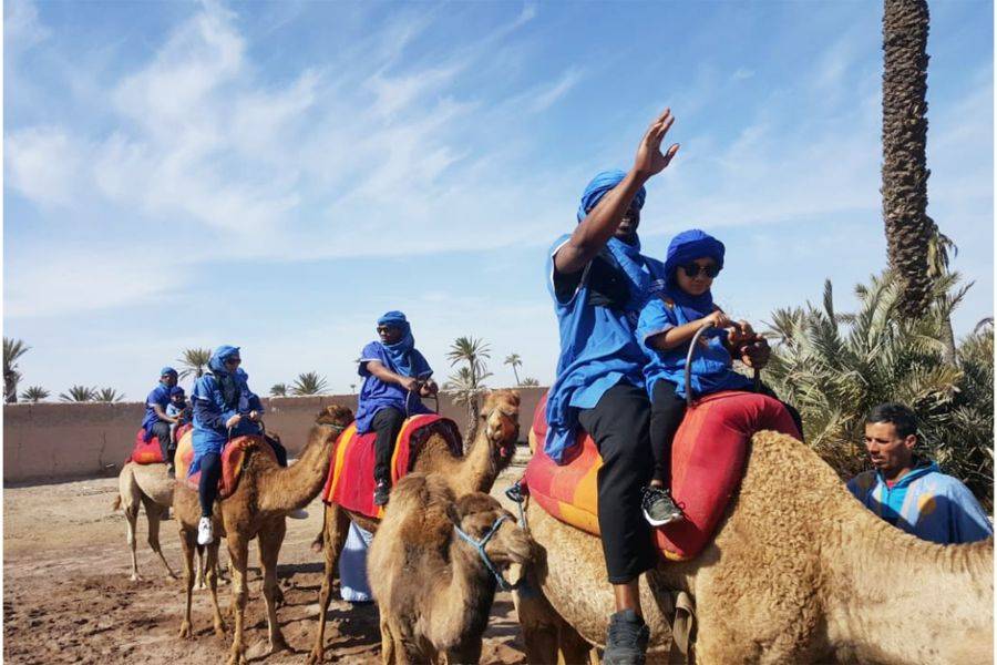 Paseo en camello y quads en Marrakech Palmeraie