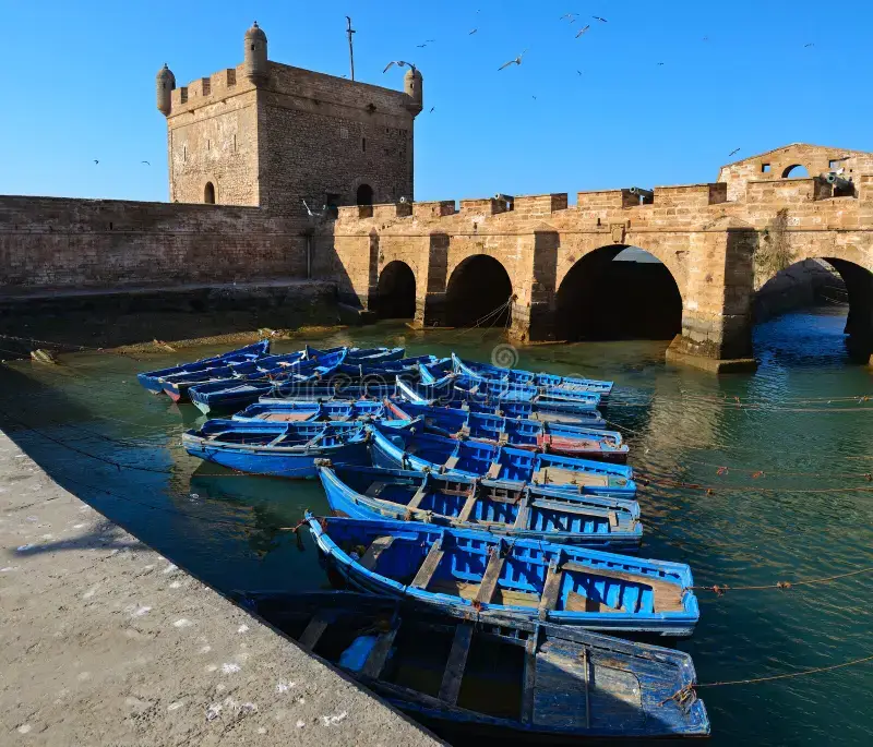 Excursión a de un día a Essaouira 