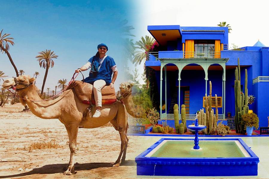 Visita del jardín Majorelle con paseo en camello por la Palmeraie de Marrakech