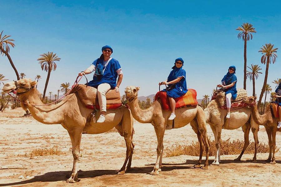 Paseo en camello en la Palmeraie de Marrakech