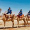 Paseo en camello en la Palmeraie de Marrakech