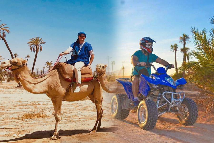 Paseo en camello y quads en Marrakech Palmeraie