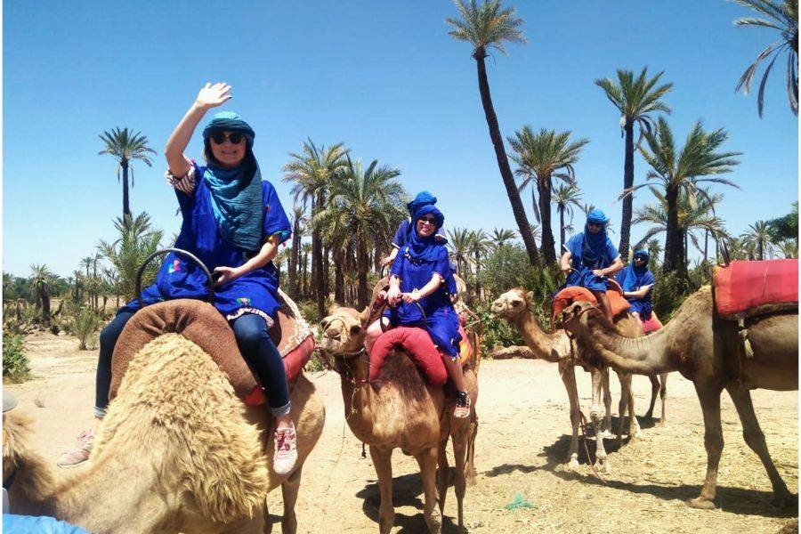 Paseo en camello y quads en Marrakech Palmeraie