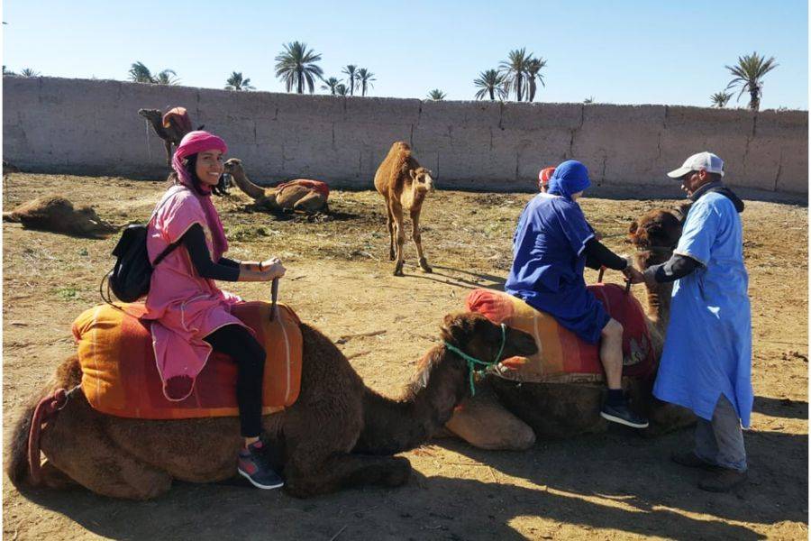 Paseo en camello y quads en Marrakech Palmeraie