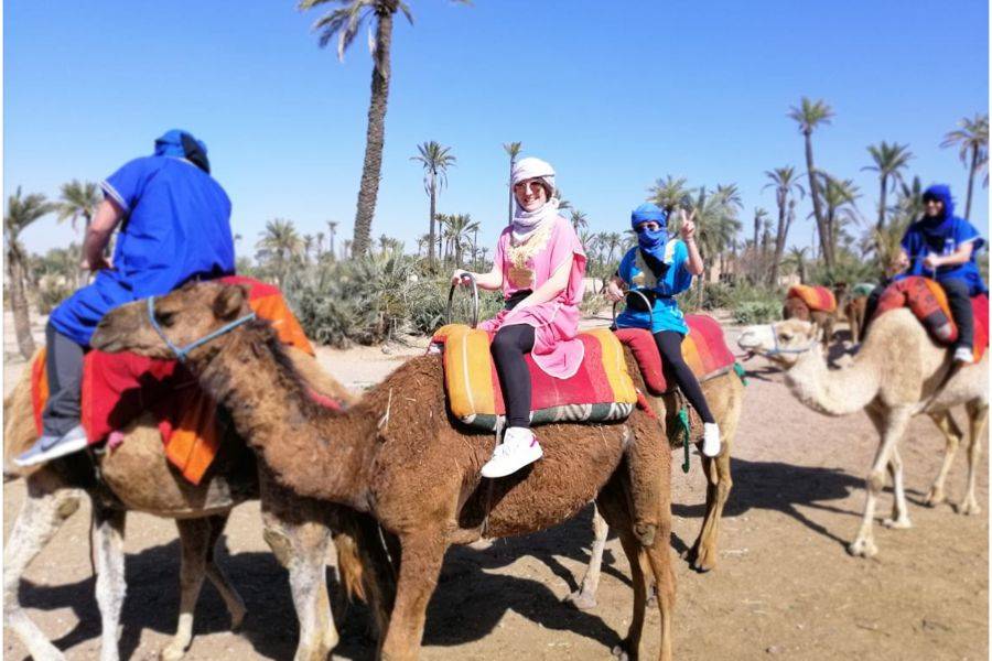 Paseo en camello y quads en Marrakech Palmeraie