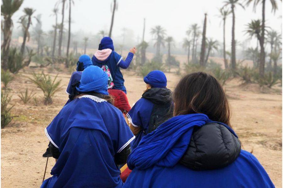 Paseo en camello y quads en Marrakech Palmeraie